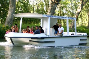 Daily rental<br />Wanday